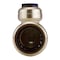 Apollo 3/4 in. Brass Push-To-Connect Inlet x 1/2 in. Brass Push-To-Connect Outlets 2-Port Closed Manifold FSBM2PTC - alternate 4